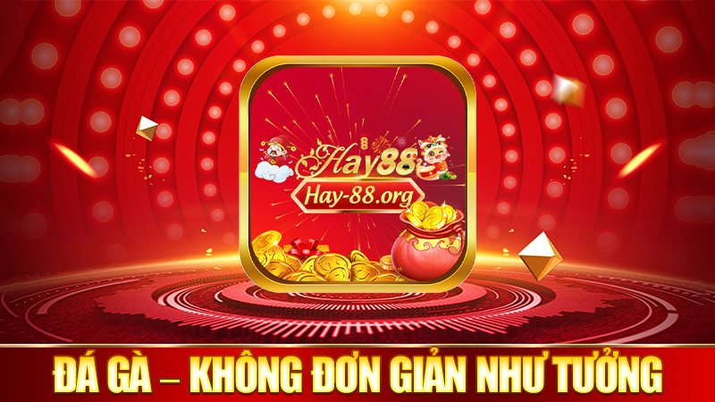 Cược đá gà – không đơn giản như tưởng