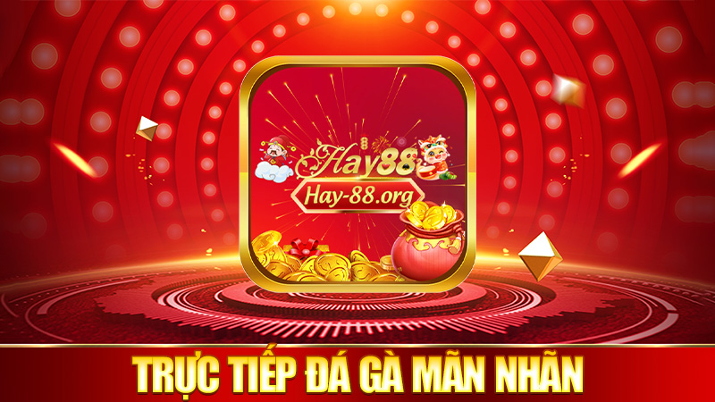 Trực tiếp đá gà mãn nhãn